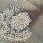 - Riso Vialone Nano Integrale 1 Kg