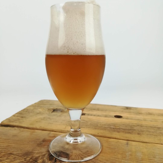 - Birra al Riso Artigianale Bionda - Nova